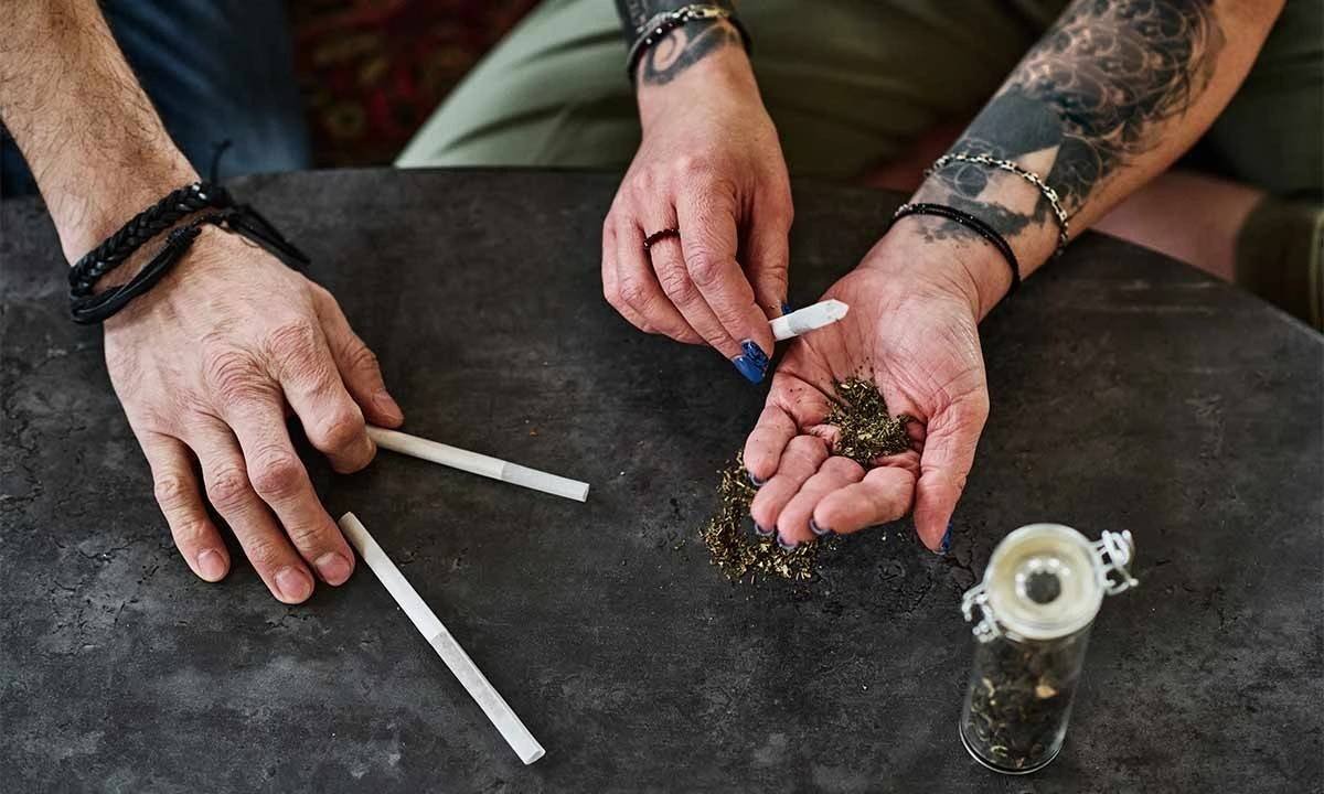 Bhang vs Ganja: Effects, Uses, and Legal Differences