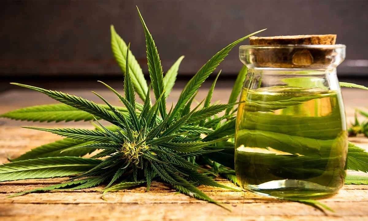 Bhang Addiction: Signs, Health Risks, and Recovery Tips