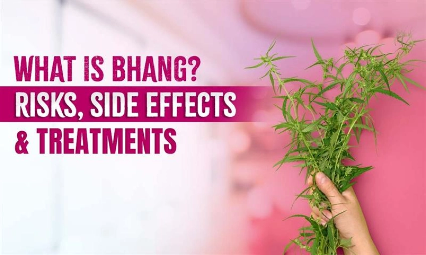 What Is Bhang? Risks, Side Effects & Treatments