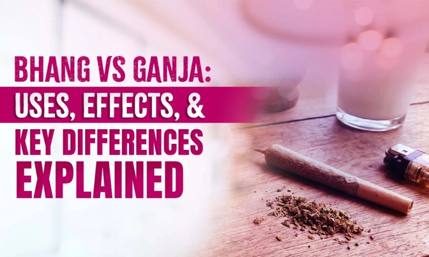 Bhang vs Ganja: Differences, Uses, Effects & Risks Explained